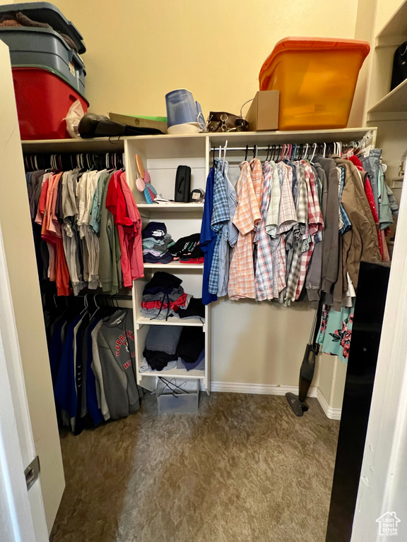 Spacious closet with carpet flooring