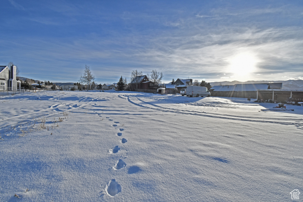 Yard covered in snow with a residential view