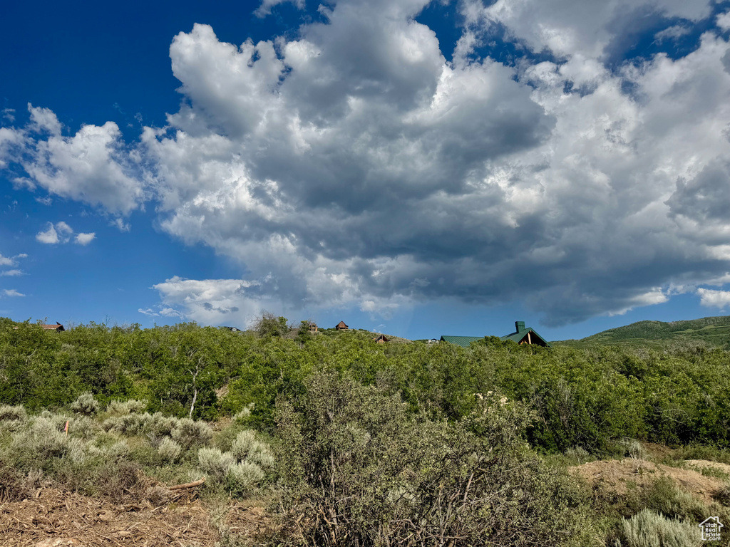 View of nature