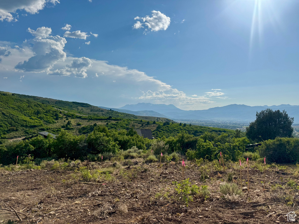 Mountain view