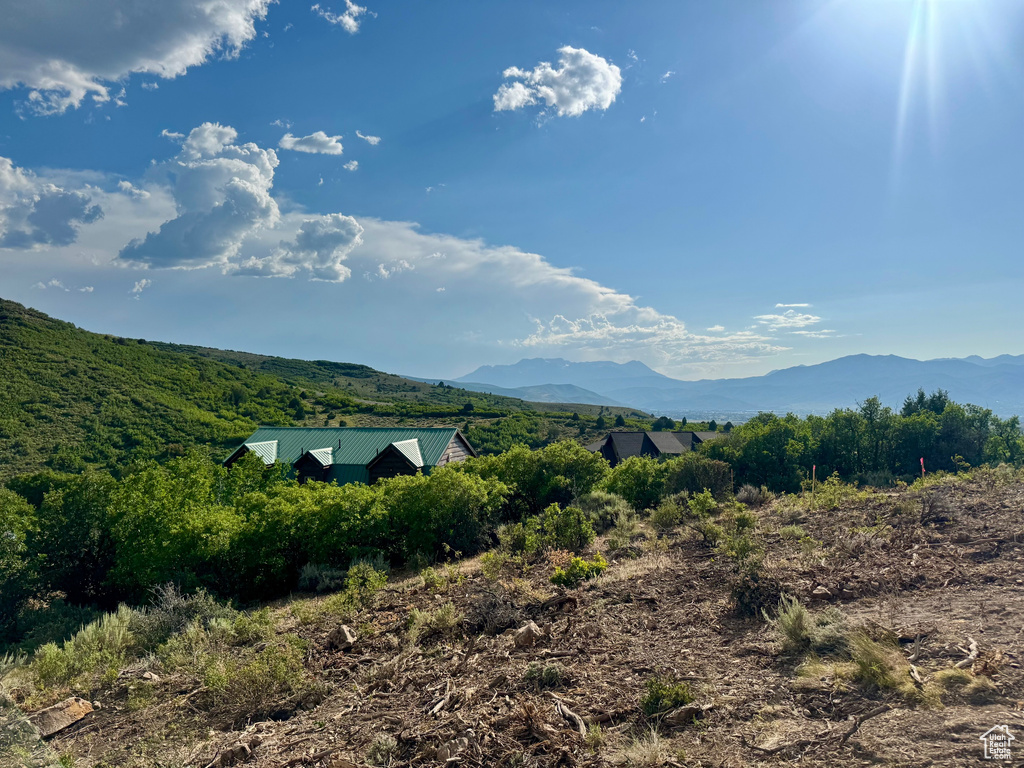 Mountain view