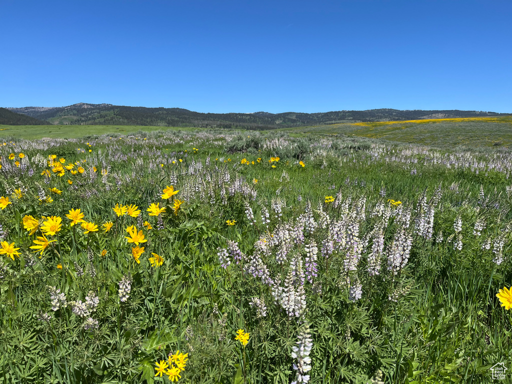  Montpelier, ID 83254