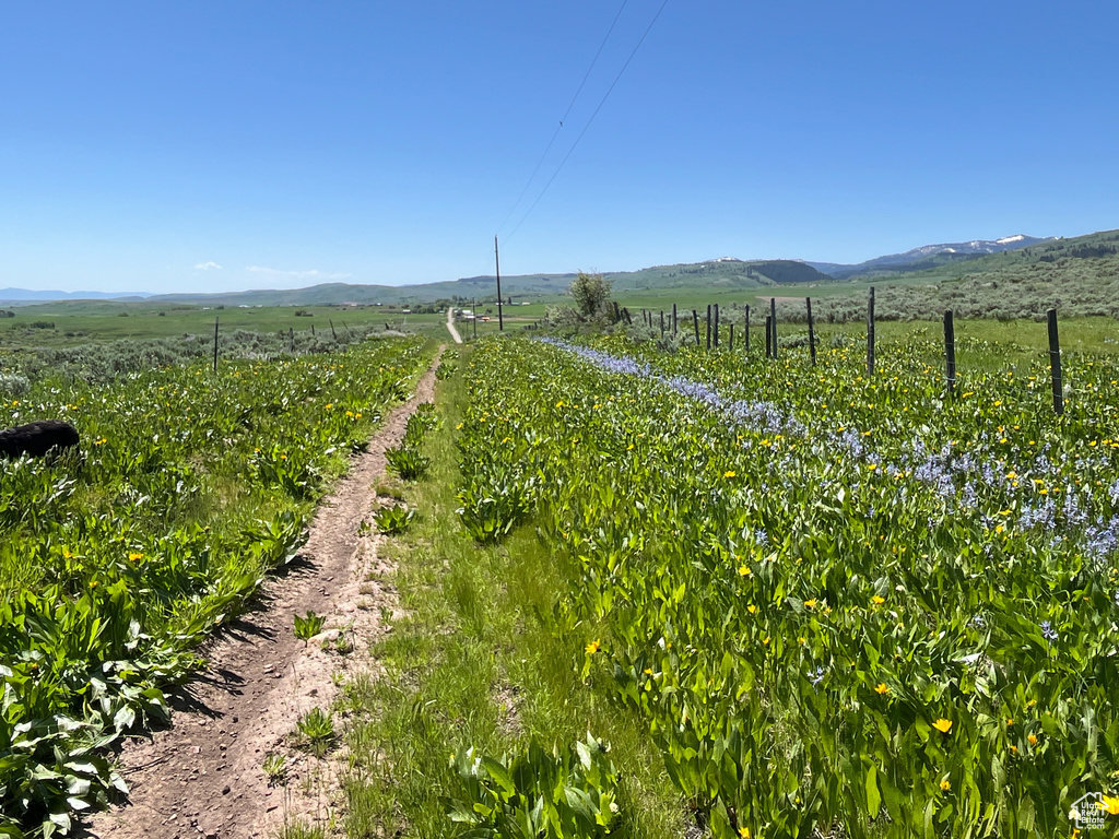  Montpelier, ID 83254