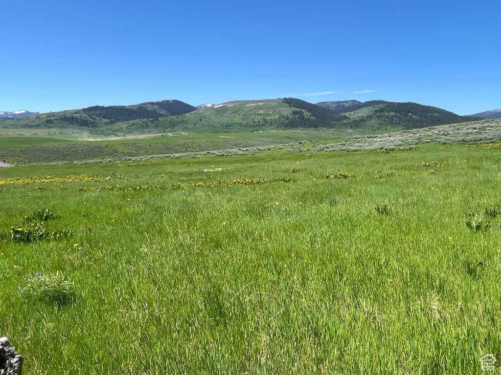  Montpelier, ID 83254