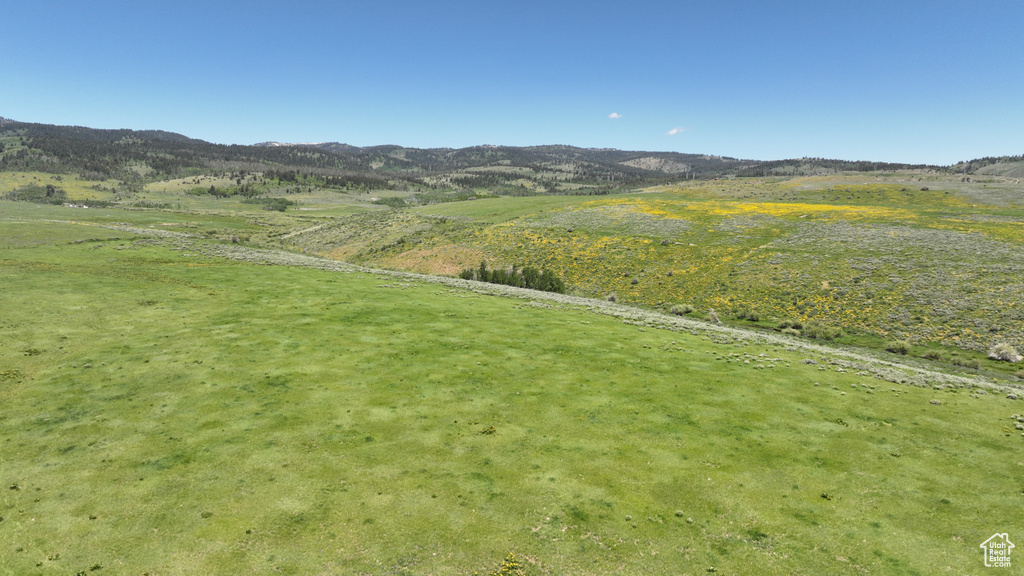  Montpelier, ID 83254