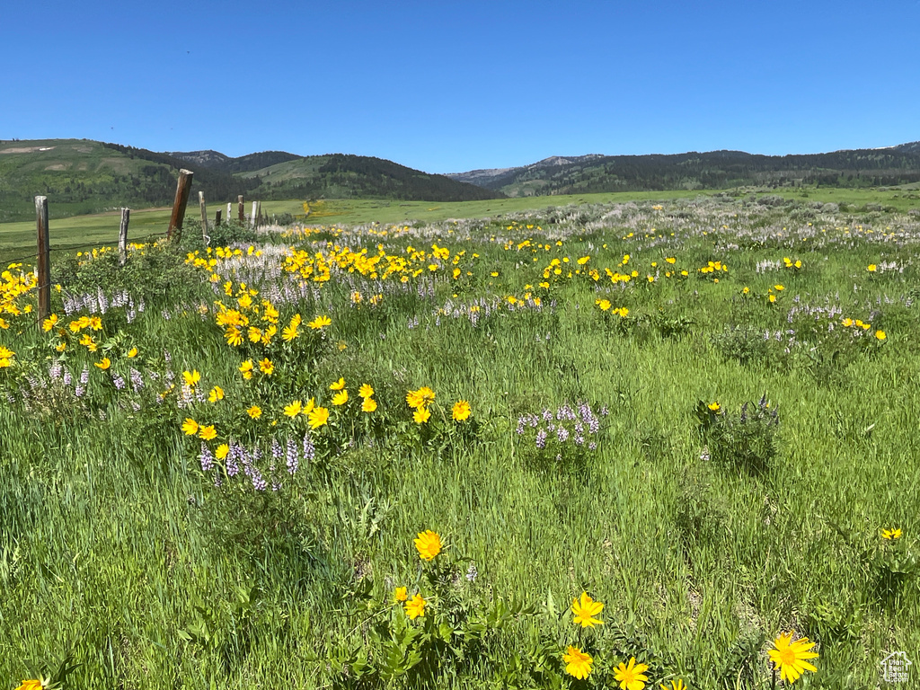  Montpelier, ID 83254