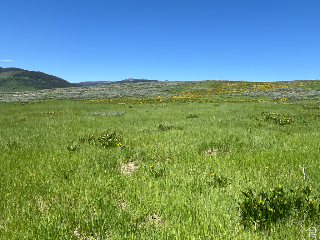  Montpelier, ID 83254