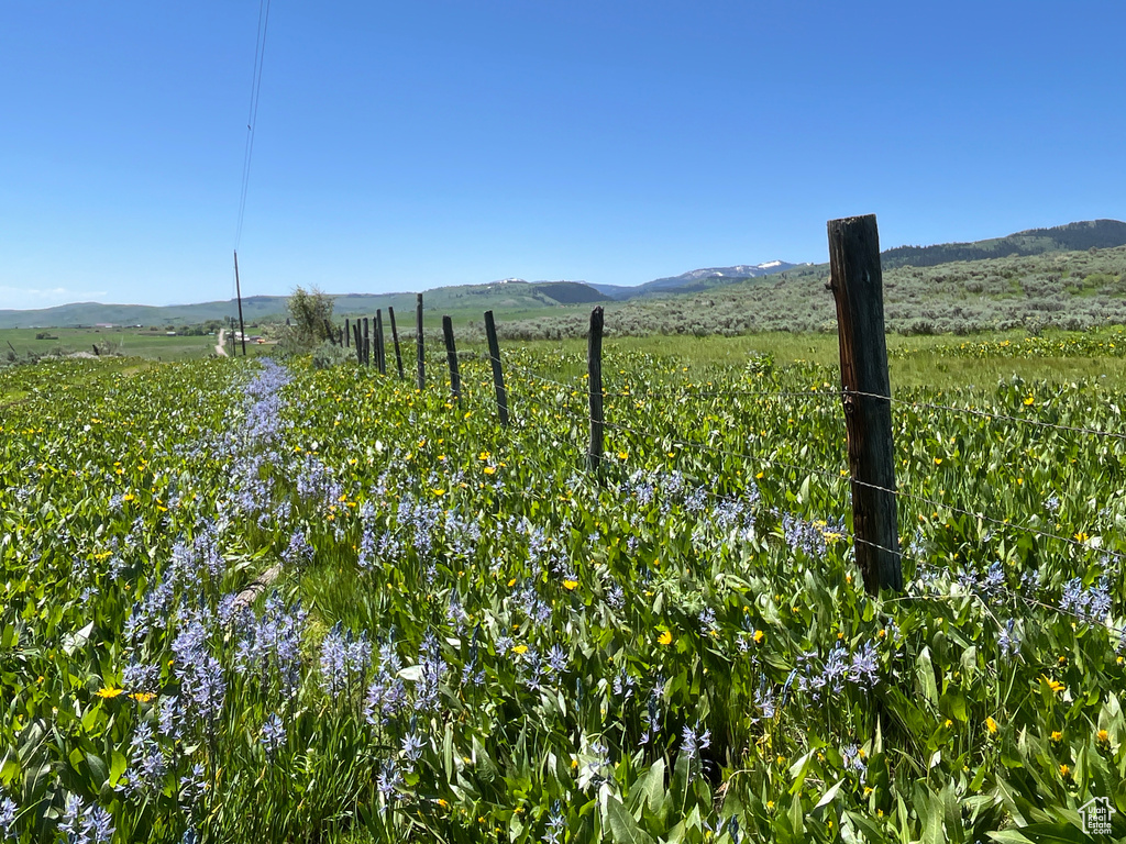  Montpelier, ID 83254