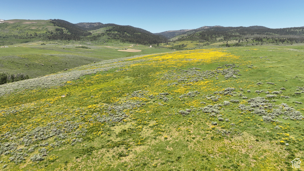  Montpelier, ID 83254