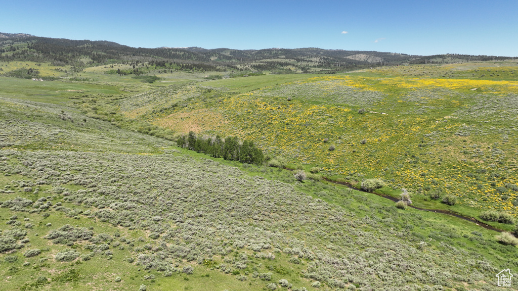  Montpelier, ID 83254