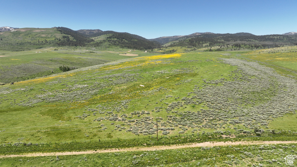  Montpelier, ID 83254