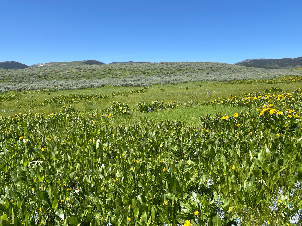  Montpelier, ID 83254
