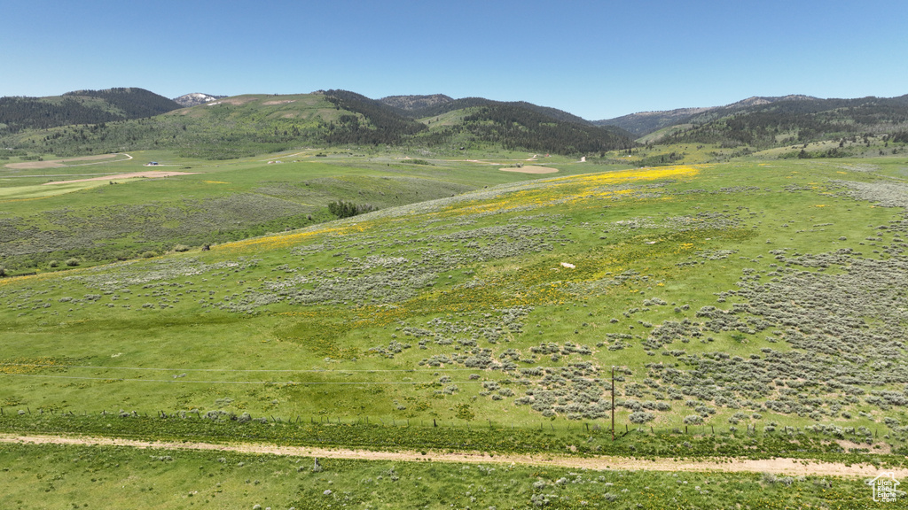  Montpelier, ID 83254