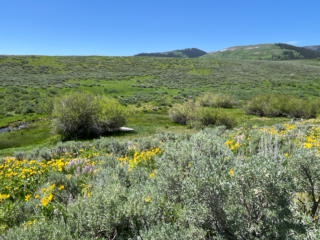 Montpelier, ID 83254