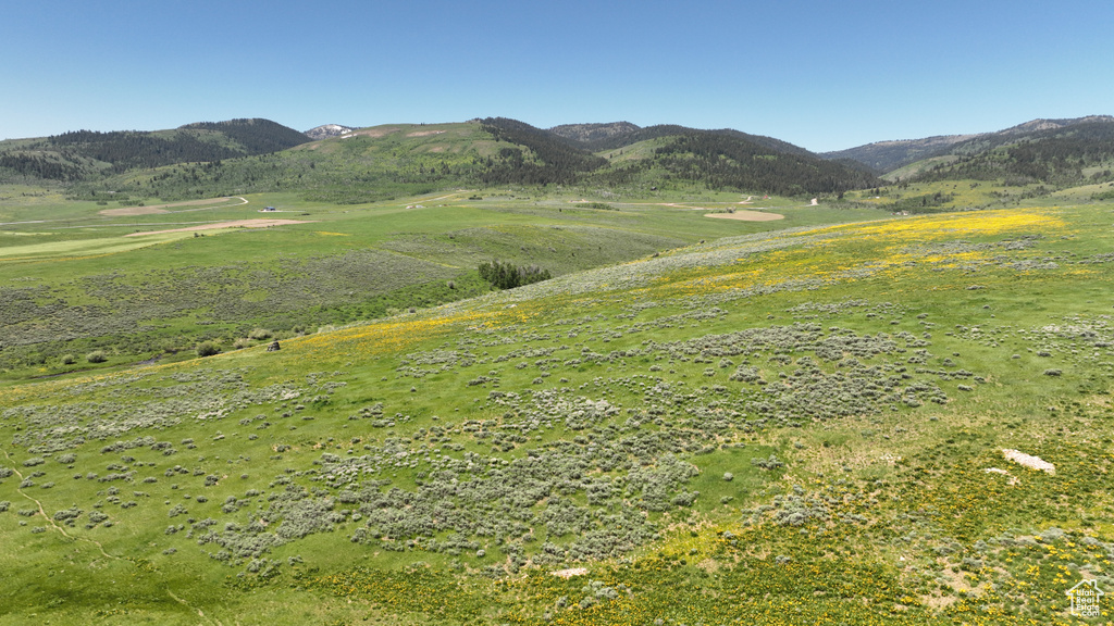  Montpelier, ID 83254