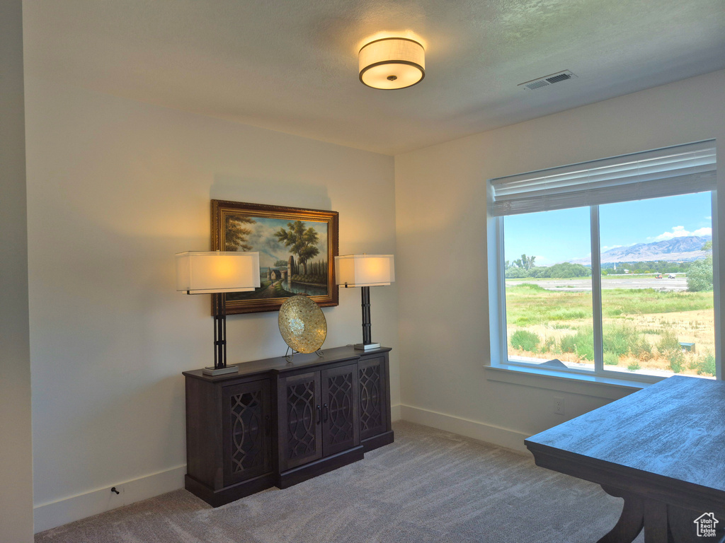 Photo 27 for MLS #2095755 at 352 W Ropelato Dr