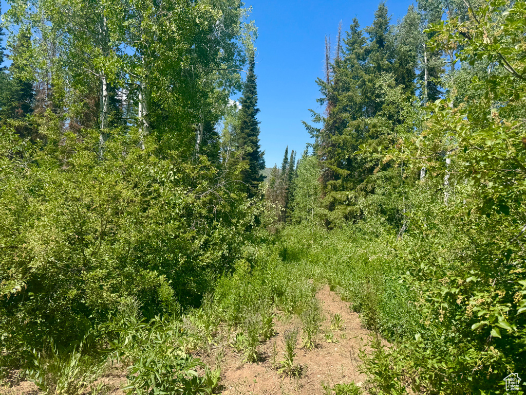 9146 N UINTA DR Oakley, UT 84055