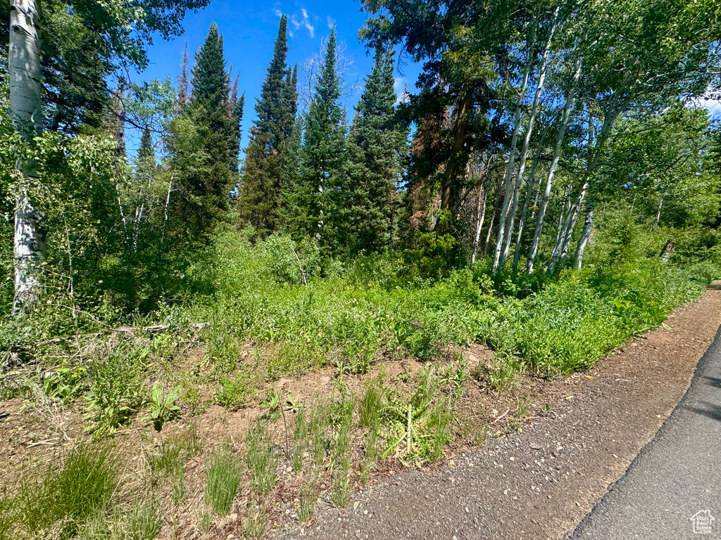 9146 N UINTA DR Oakley, UT 84055