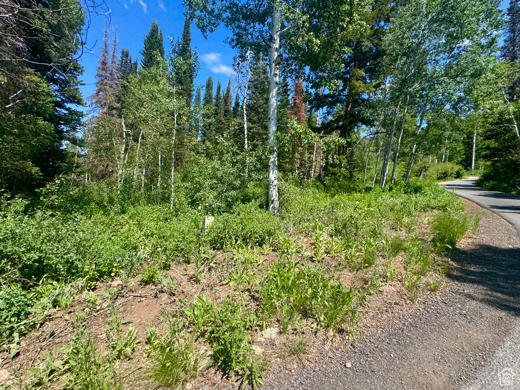 9146 N UINTA DR Oakley, UT 84055