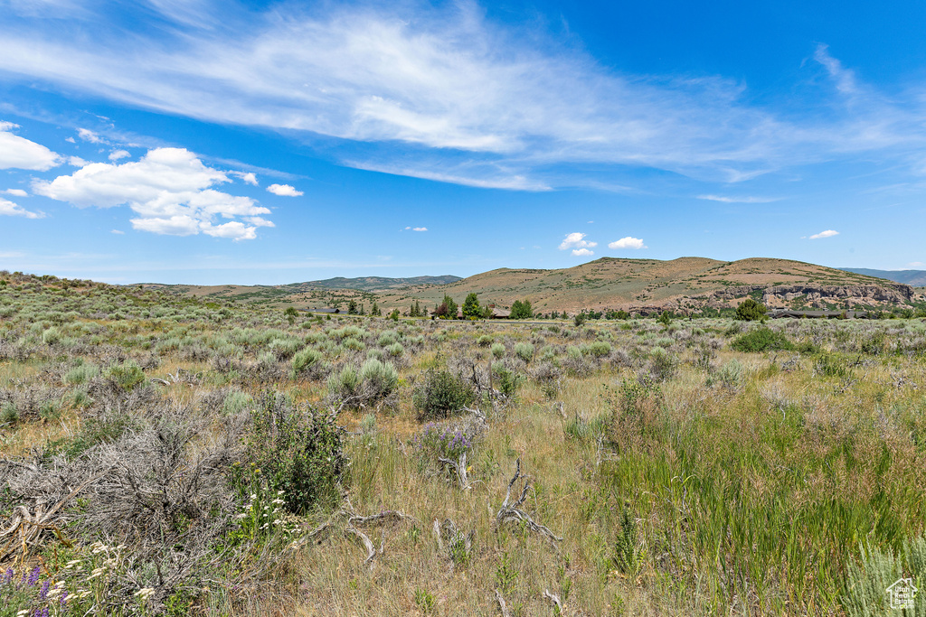 6450 E MAYFLY CT Heber City, UT 84032