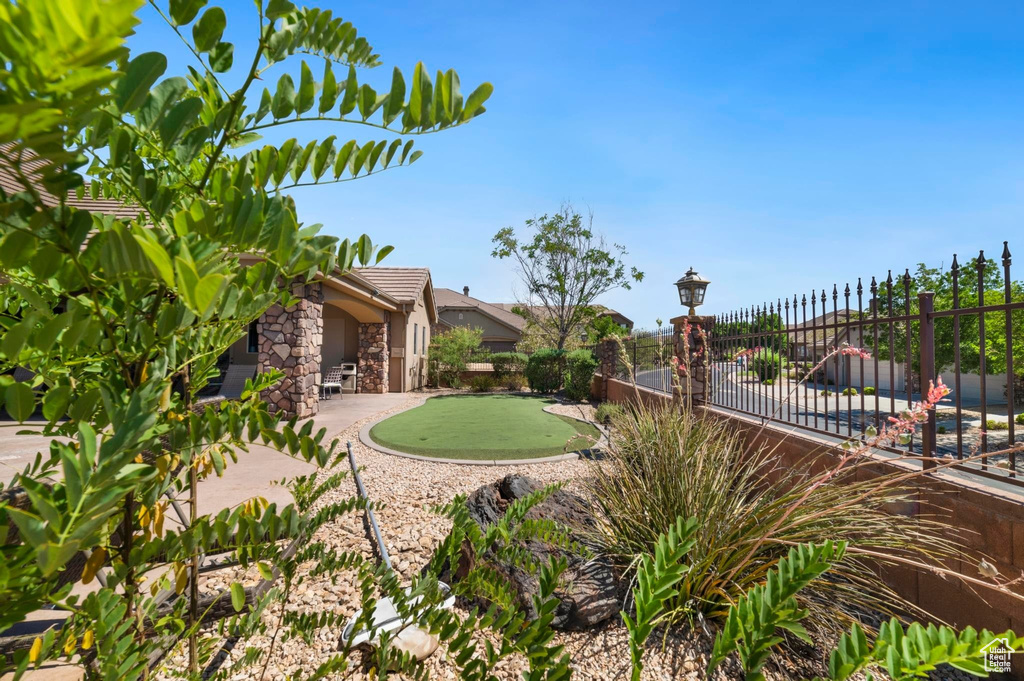 View of yard with an area to practice putting and a patio