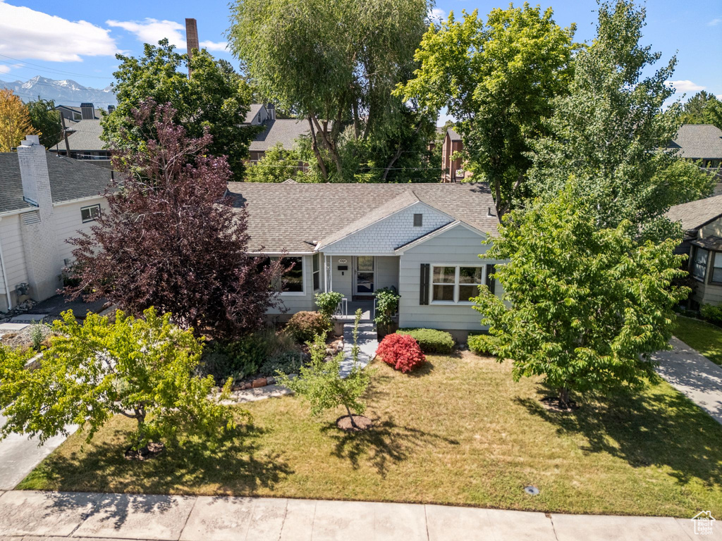 View of front of property with a front yard and roof with shingles