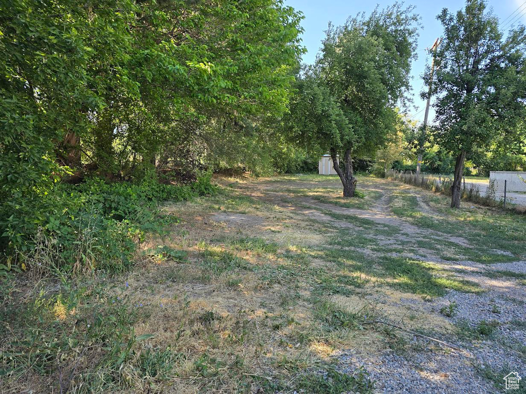 View of yard with a shed