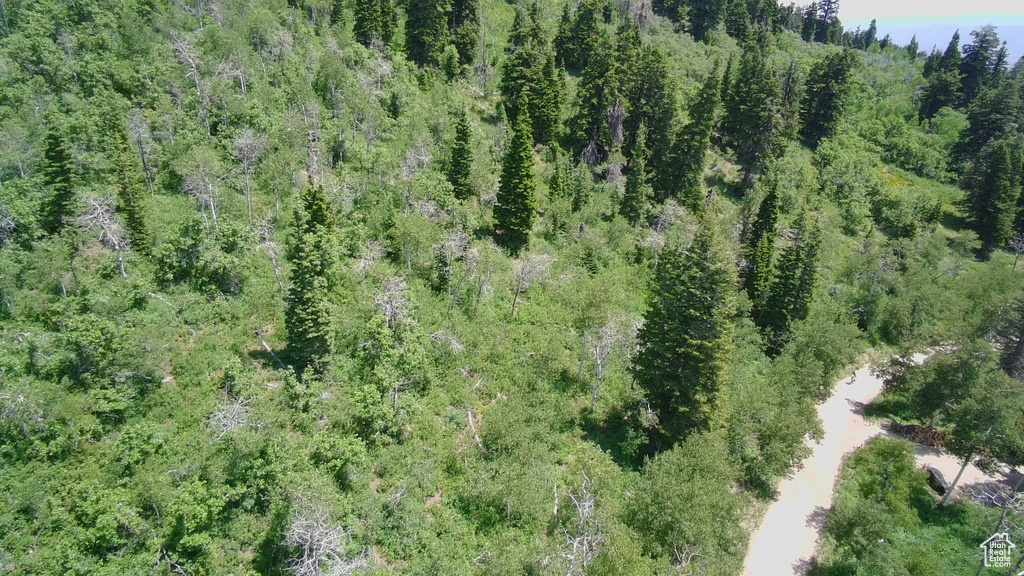Aerial overview of property\'s location featuring a heavily wooded area