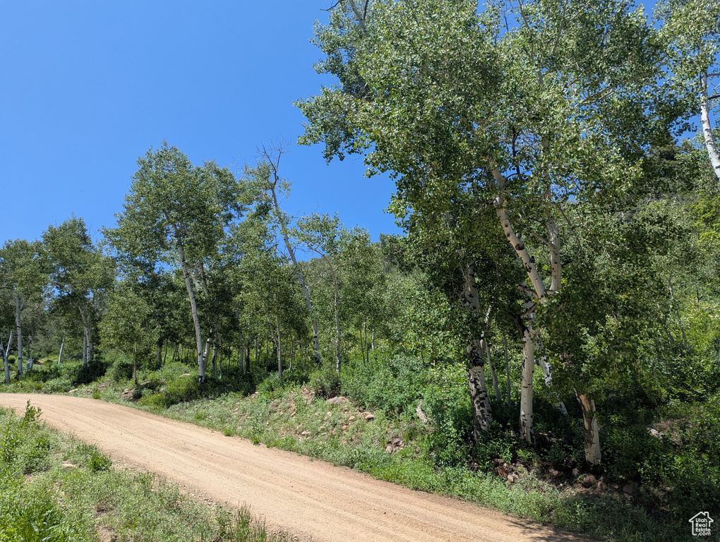 View of dirt / gravel road