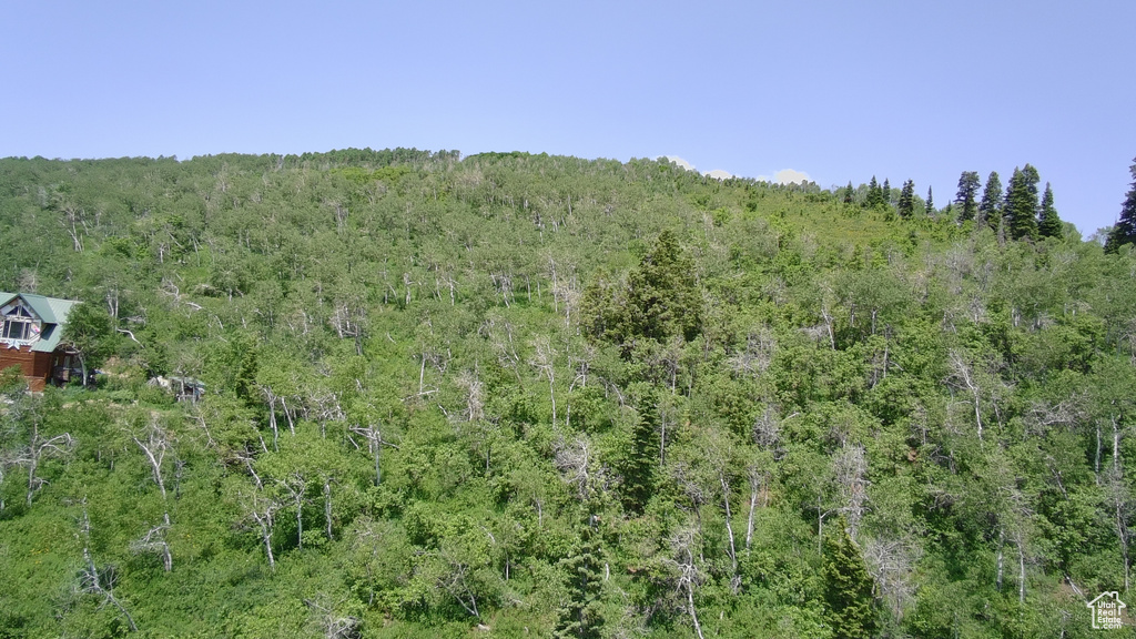 View of wooded area