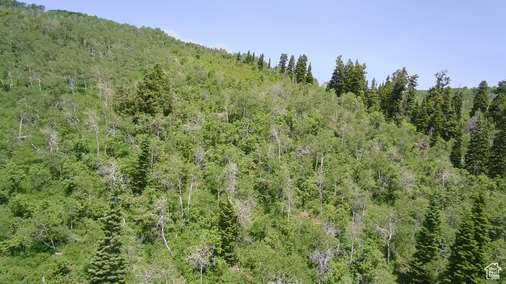 View of woods