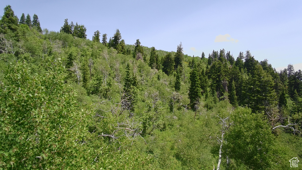 View of woods