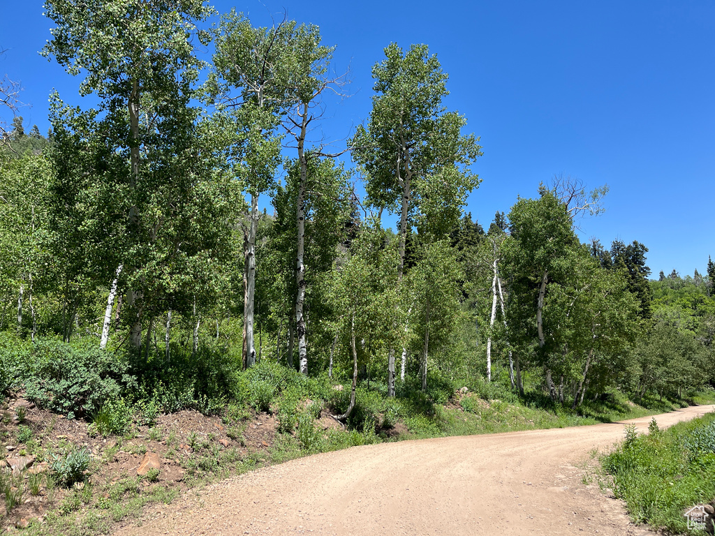 View of dirt / gravel road