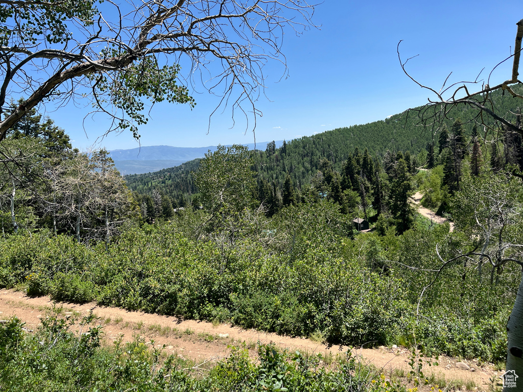 View of mountain background with a heavily wooded area