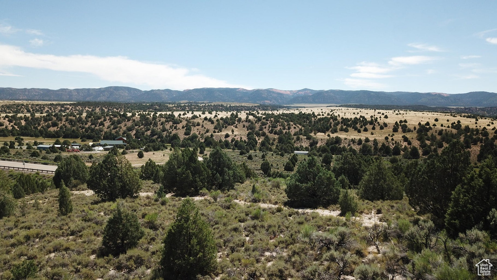 View of mountain background