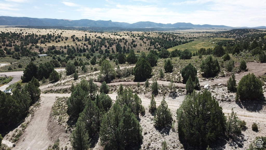 Bird's eye view of mountains