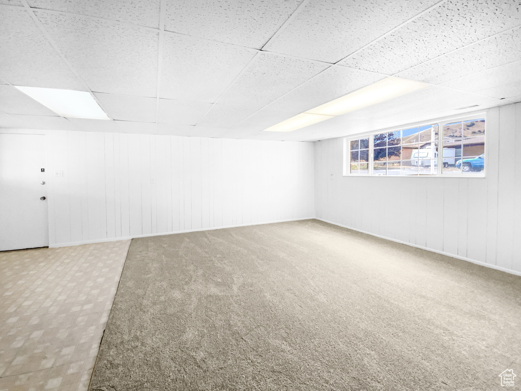 Below grade area featuring carpet and a drop ceiling