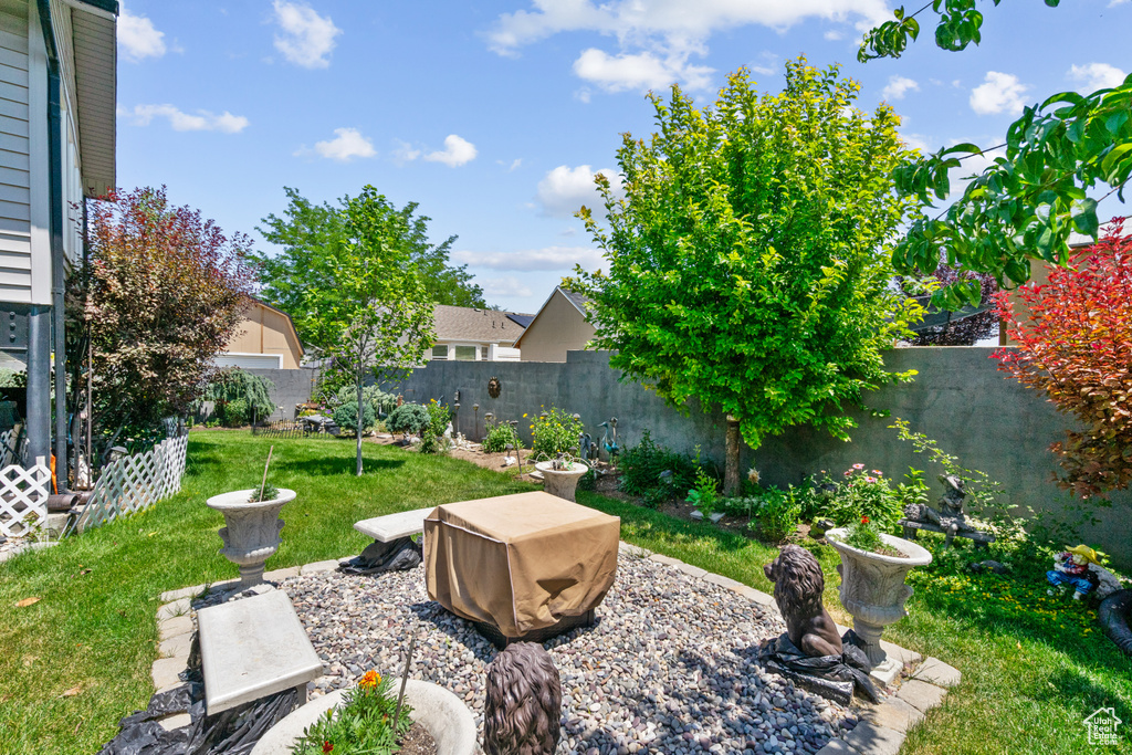 View of fenced backyard
