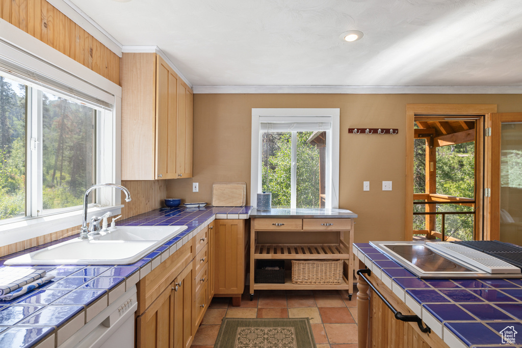 1519 PINE NEEDLE CIR Coalville, UT 84017