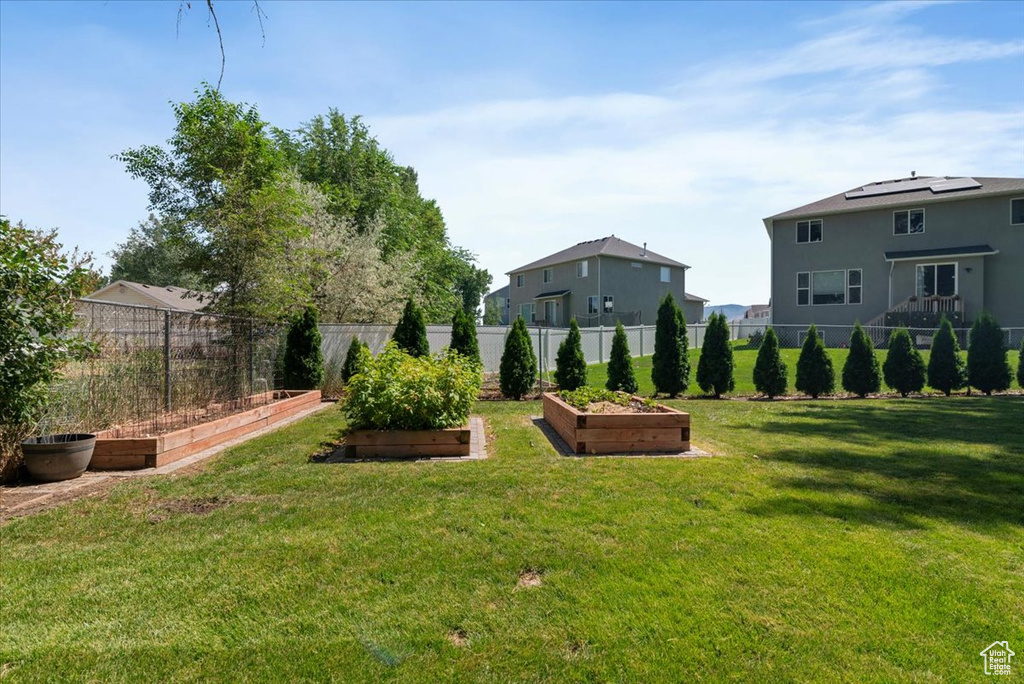 View of yard with a vegetable garden