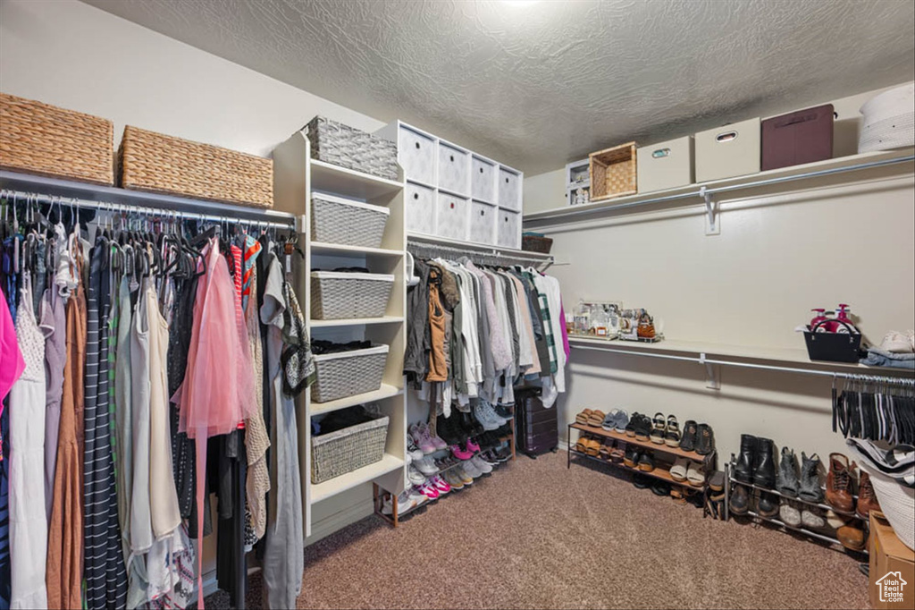 Walk in closet with carpet