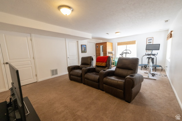 Carpeted cinema featuring a textured ceiling