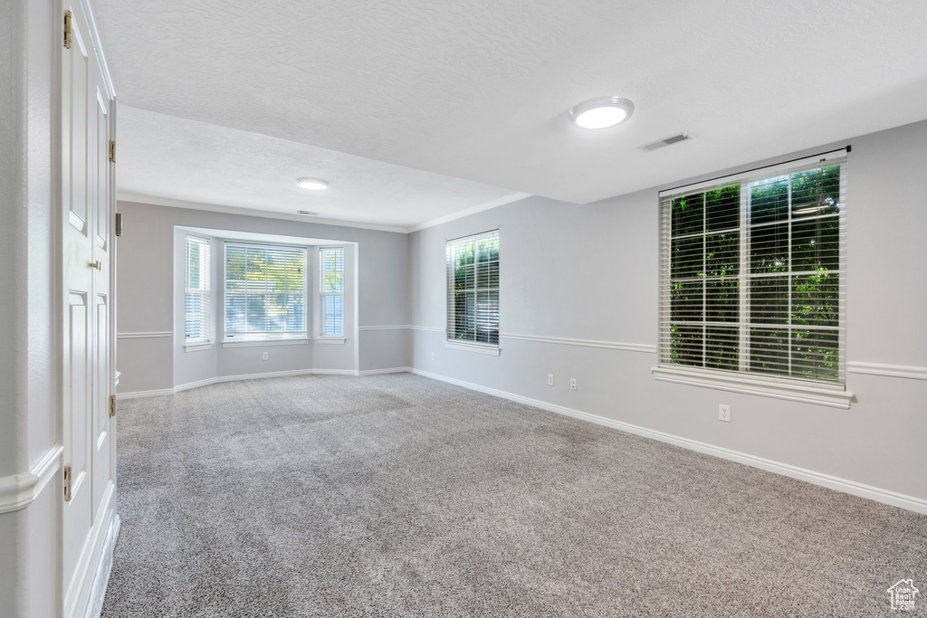 Carpeted empty room with baseboards and a textured ceiling