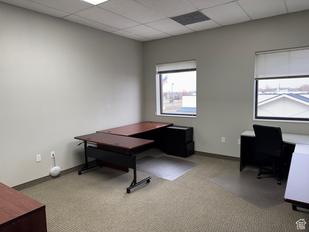 Office featuring carpet flooring, healthy amount of natural light, and a paneled ceiling