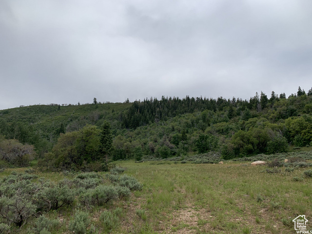 68  Q INDIAN RIDGE DR Indianola, UT 84629