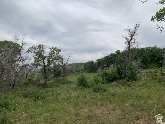 68  Q INDIAN RIDGE DR Indianola, UT 84629