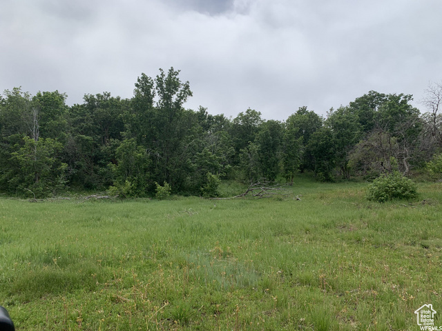 68  Q INDIAN RIDGE DR Indianola, UT 84629