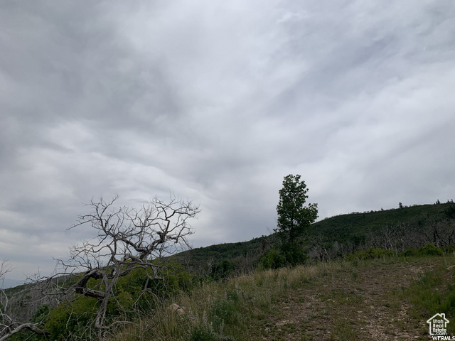 68  Q INDIAN RIDGE DR Indianola, UT 84629