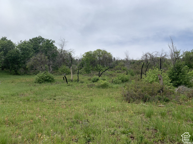 68  Q INDIAN RIDGE DR Indianola, UT 84629