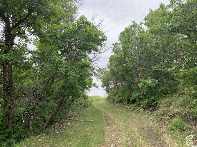 68  Q INDIAN RIDGE DR Indianola, UT 84629